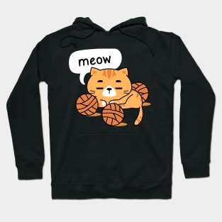 Orange cats wants to play Hoodie